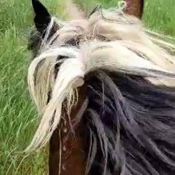 Meet your Posher, April - Picture 1 of 1